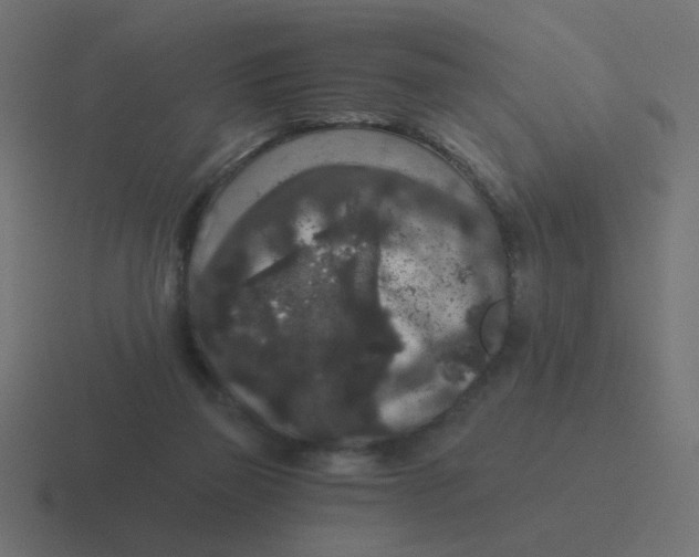 X0000116480165200912292053