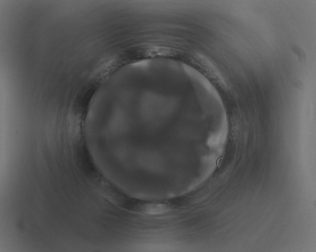 X0000116480169200912292053