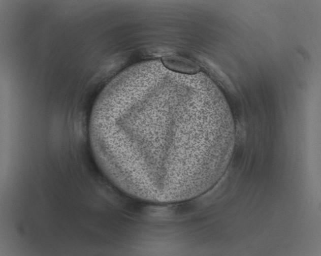 X0000116480170200912292053