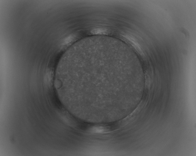 X0000116480171200912292053