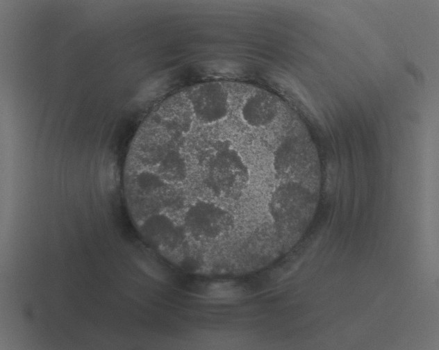 X0000116480173200912292053