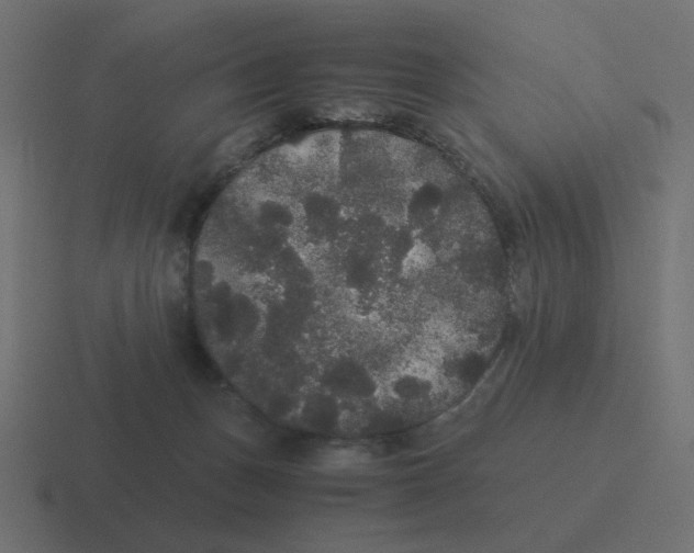 X0000116480175200912292053