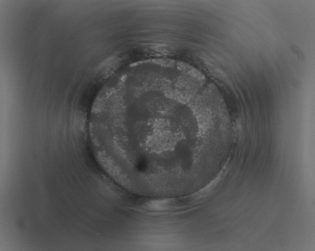 X0000116480178200912292053