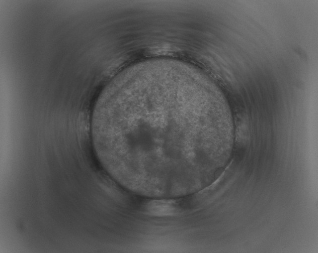 X0000116480179200912292053