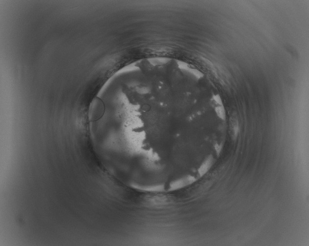 X0000116480181200912292053