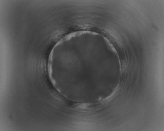 X0000116480182200912292053