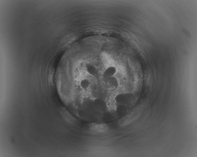 X0000116480185200912292053