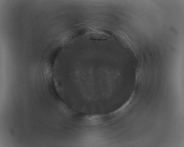 X0000116480186200912292053