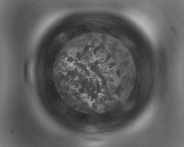 X0000116480189200912292053