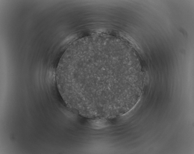 X0000116480191200912292053