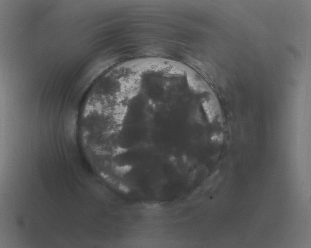 X0000116480194200912292052