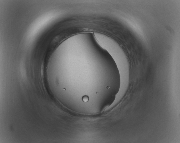 X0000116480195200912292052