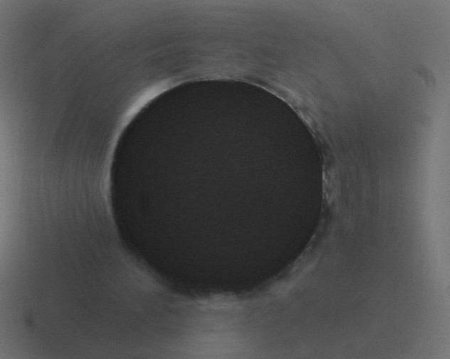 X0000116480196200912292052