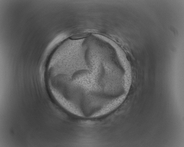 X0000116480197200912292052