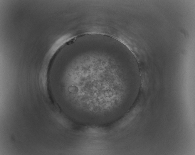 X0000116480199200912292052