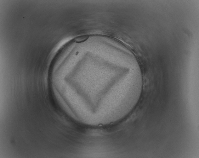 X0000116480200200912292052