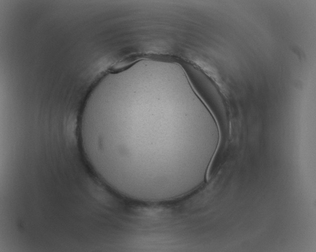 X0000116480201200912292052