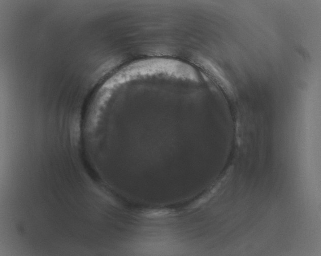 X0000116480202200912292052