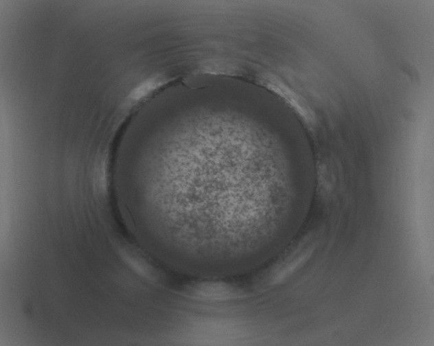 X0000116480203200912292052