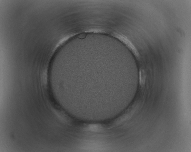 X0000116480204200912292052