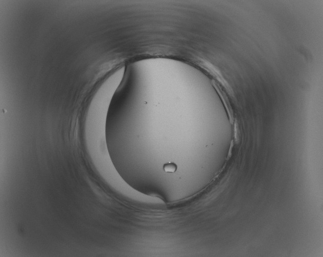 X0000116480205200912292052