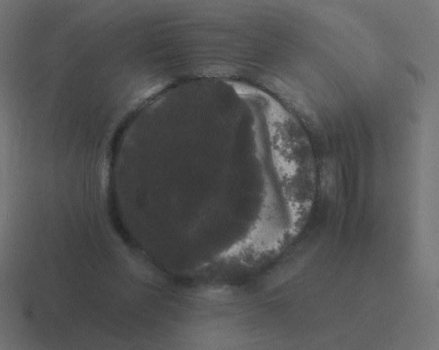 X0000116480206200912292052