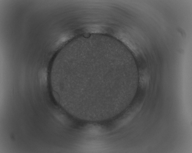 X0000116480207200912292052