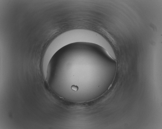 X0000116480209200912292052