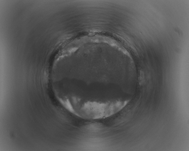 X0000116480210200912292052