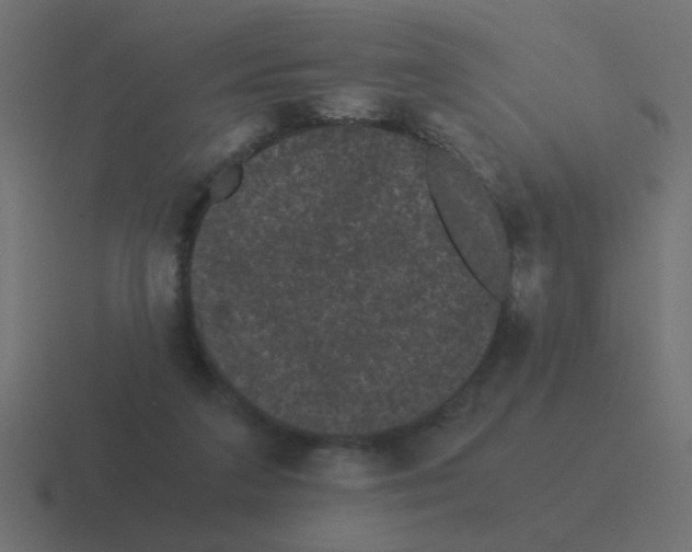 X0000116480211200912292052