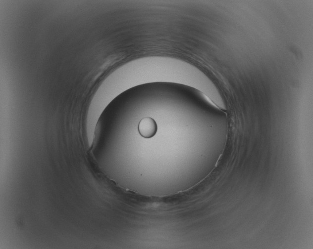 X0000116480212200912292052