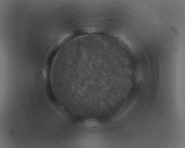 X0000116480214200912292052