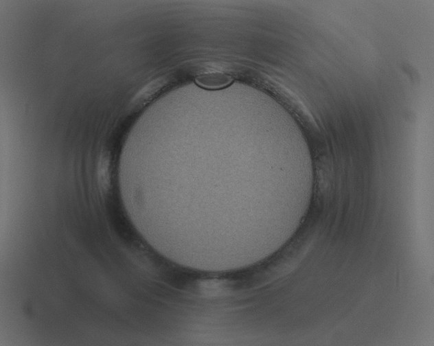 X0000116480216200912292052