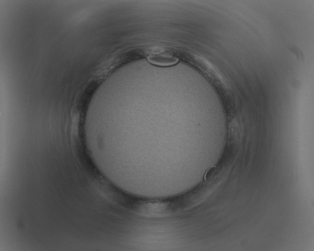 X0000116480217200912292052