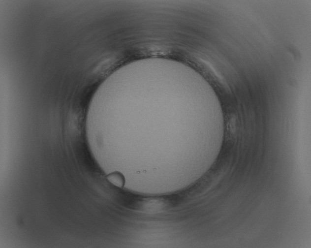 X0000116480218200912292052