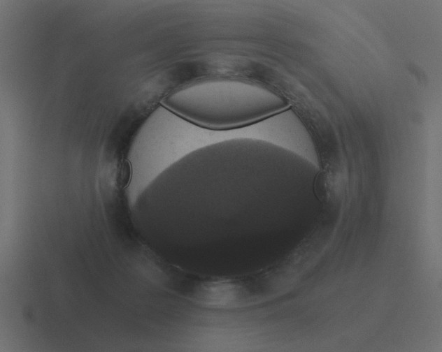 X0000116480219200912292052