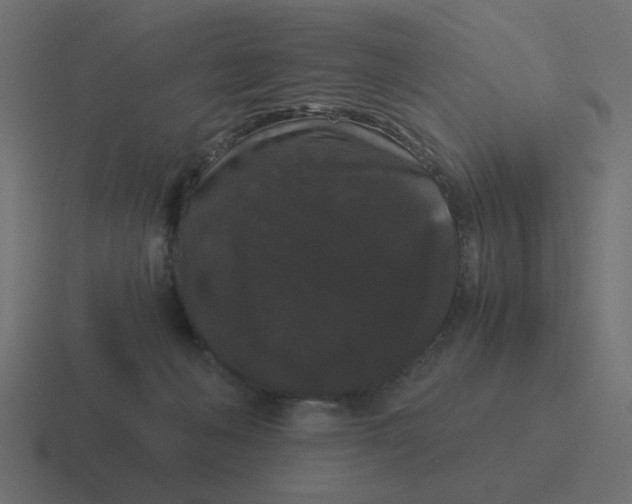 X0000116480222200912292052