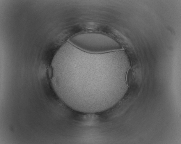 X0000116480225200912292052