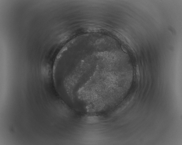 X0000116480228200912292052