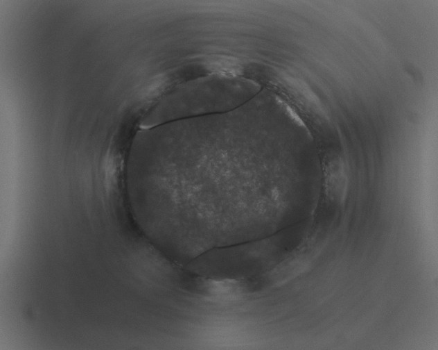 X0000116480229200912292052