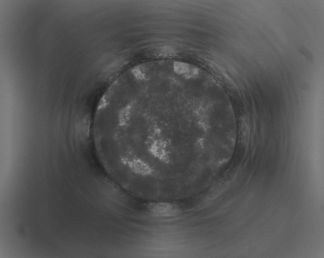 X0000116480230200912292052