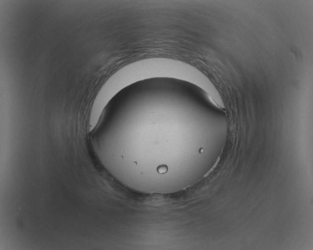 X0000116480231200912292052