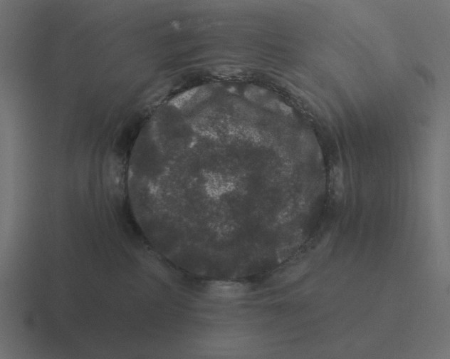 X0000116480234200912292052