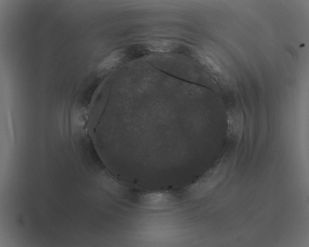 X0000116480237200912292052