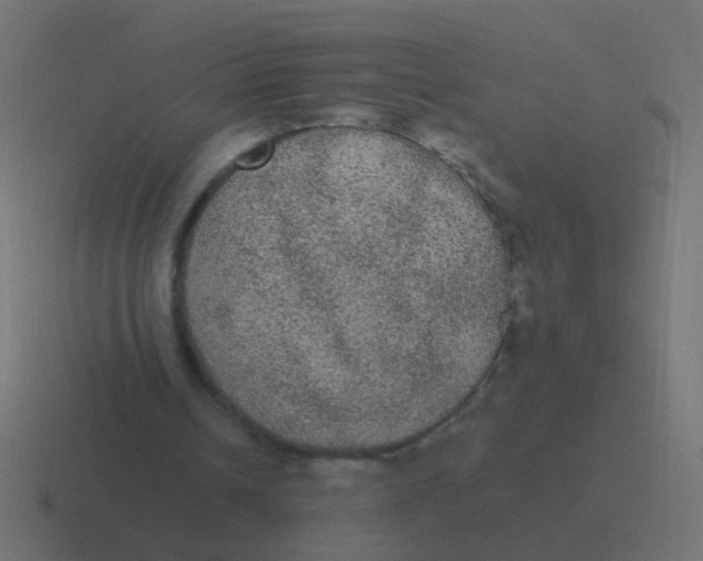 X0000116480242200912292051