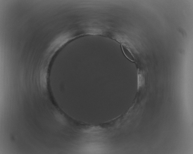 X0000116480243200912292051