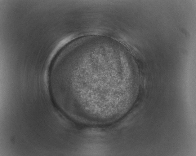 X0000116480244200912292051