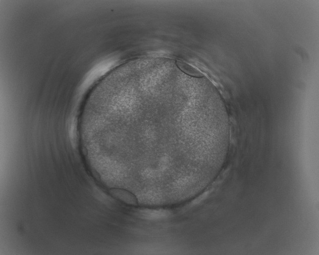 X0000116480245200912292051