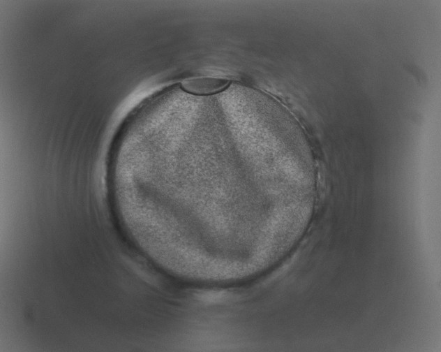 X0000116480246200912292051