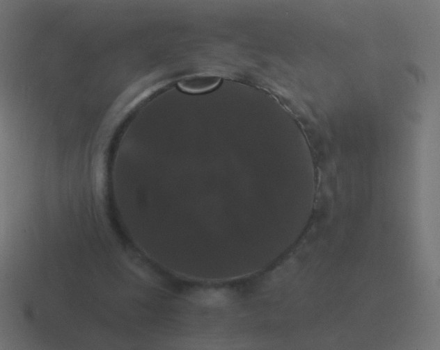 X0000116480247200912292051